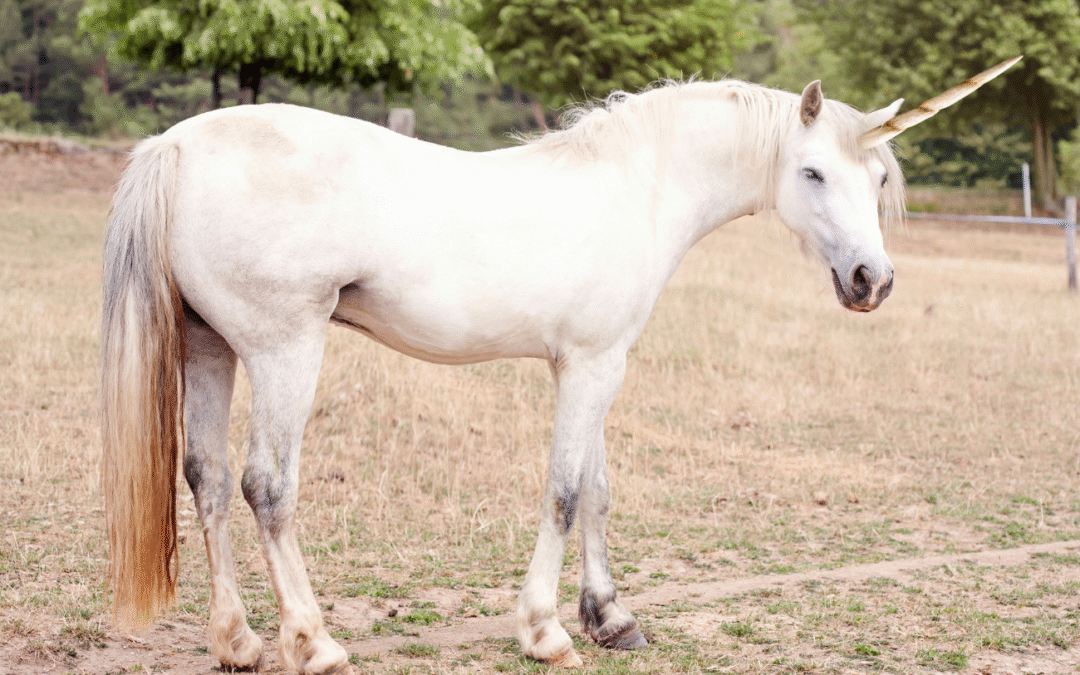 Episode Three: John Talks Company Selling Points